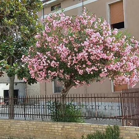 La Magnolia アパート